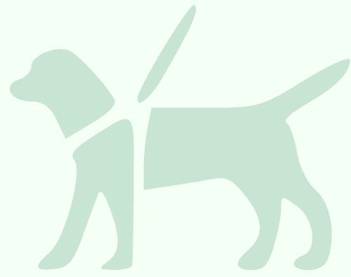 chienlaisse